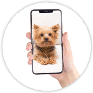 产品封面左边的小图