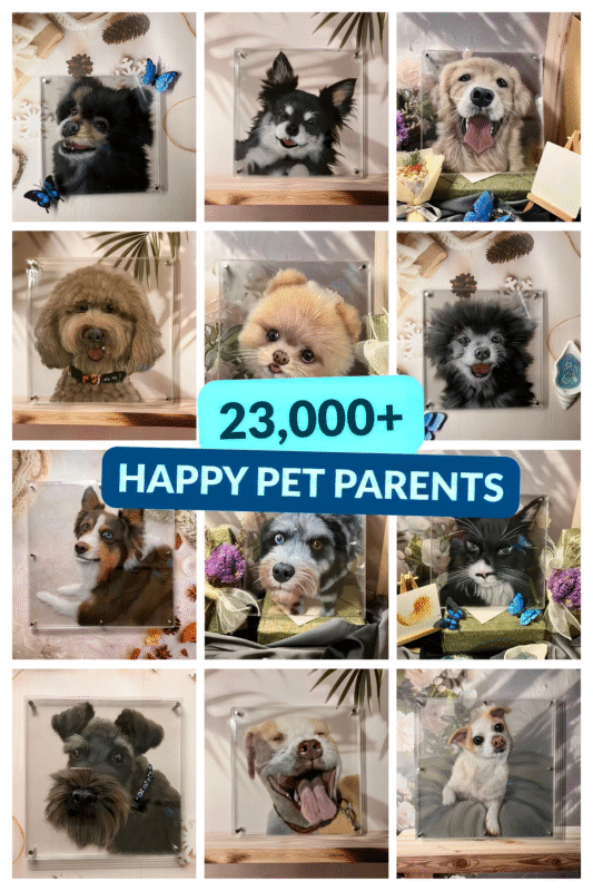 3D Layered Acrylic Portraits