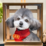 3d-layered-acrylic-portraits