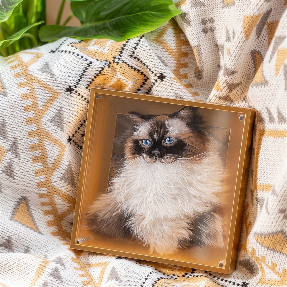 3D LAYERED ACRYLIC PORTRAITS 3D LAYERED ACRYLIC PORTRAITS