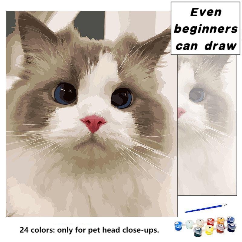 DIY Paint By Numbers Portrait