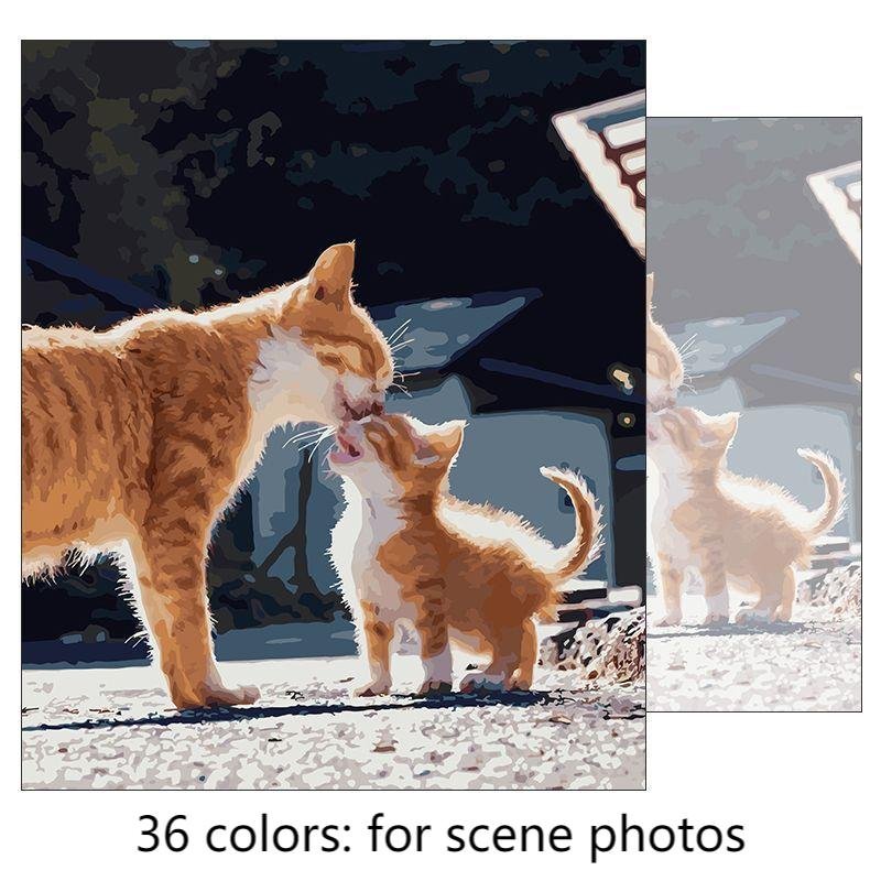 DIY Paint By Numbers Portrait