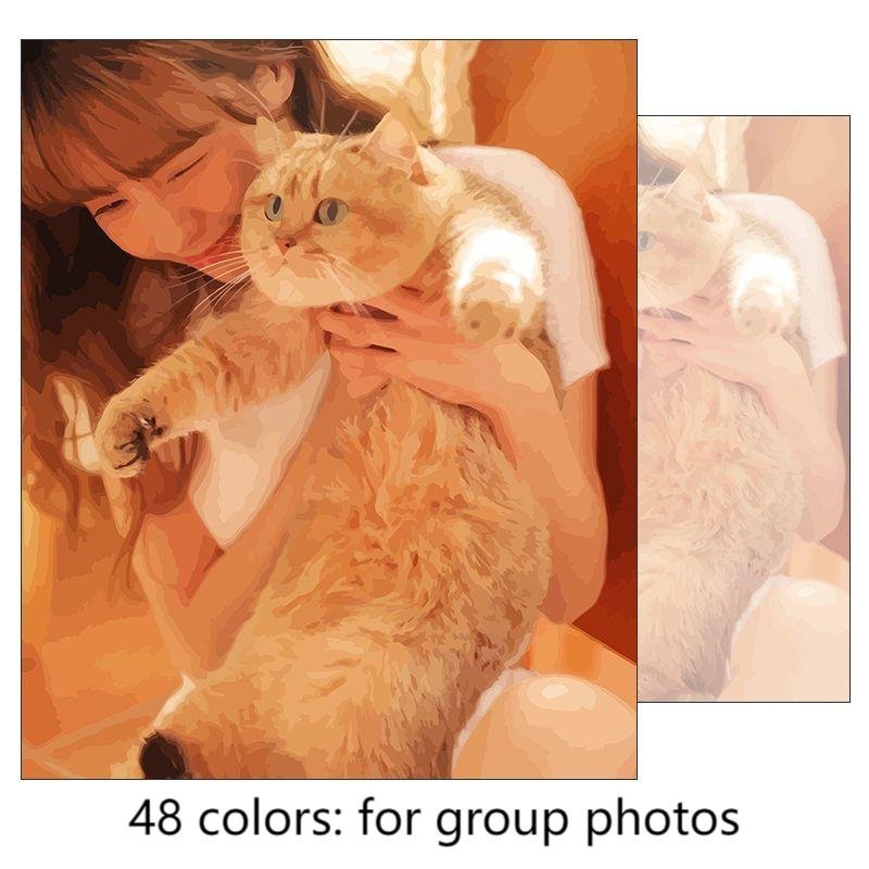 DIY Paint By Numbers Portrait