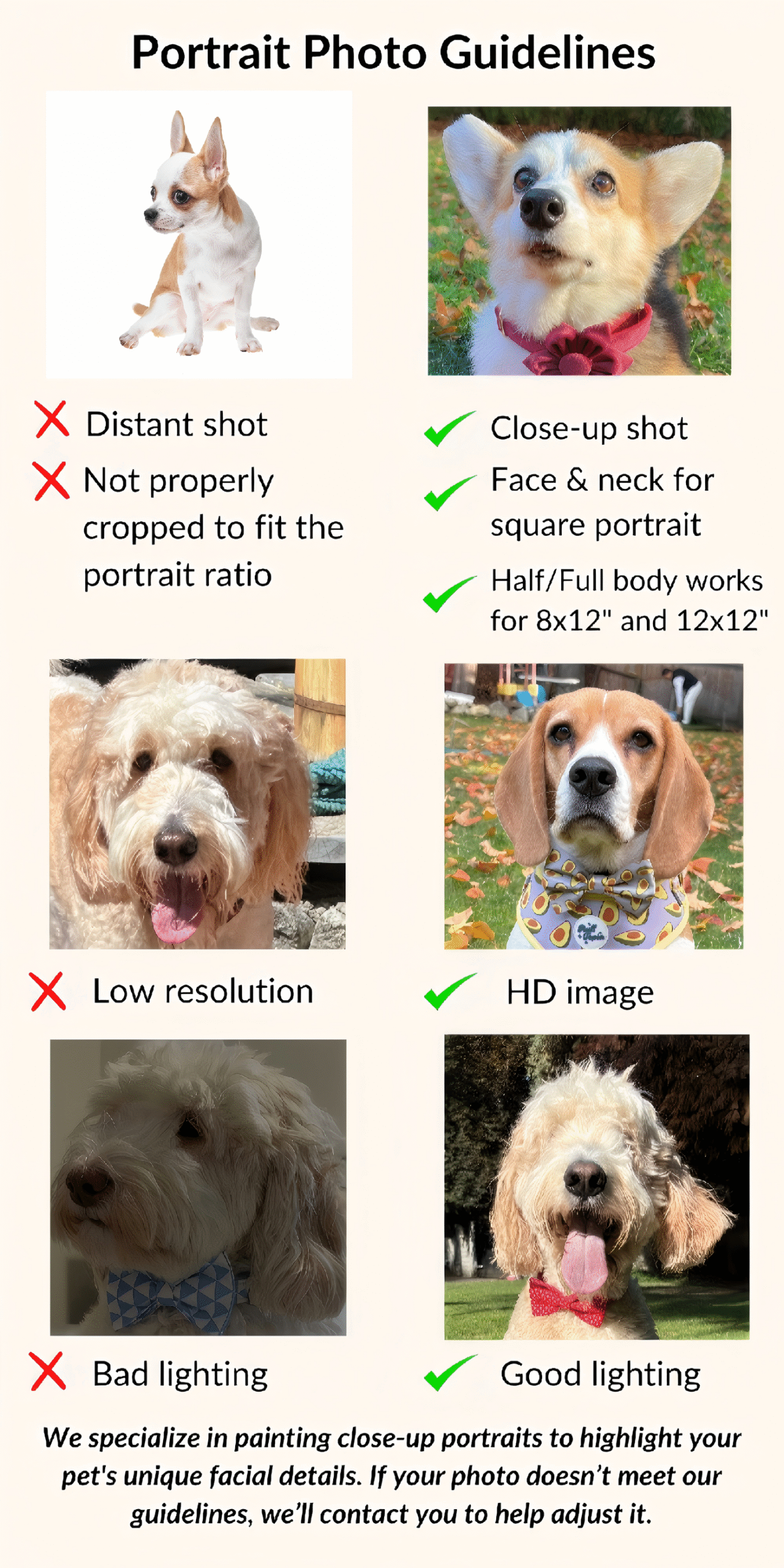photo guidelines