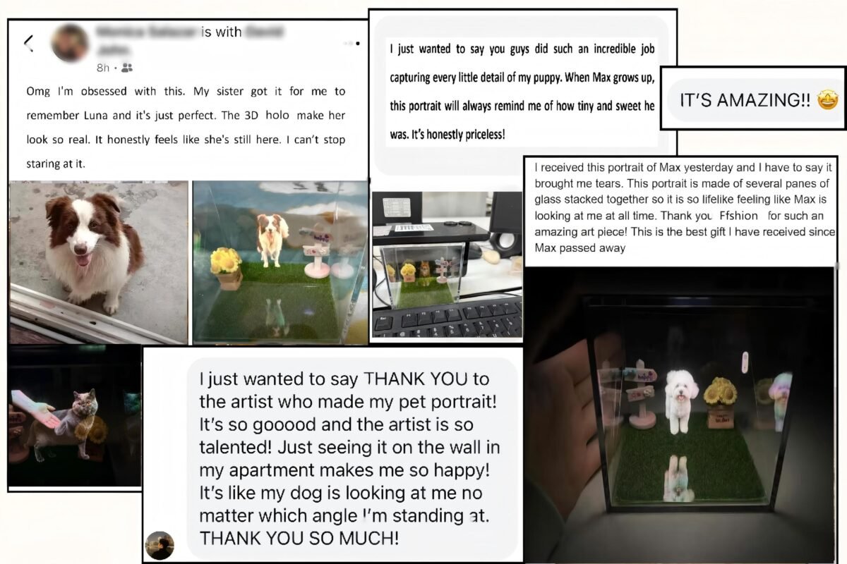 Pet Holographic House