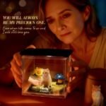 Pet Holographic House