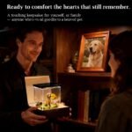 Pet Holographic House